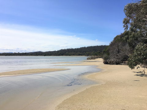 Oystercatcher - Accommodation Australia 6