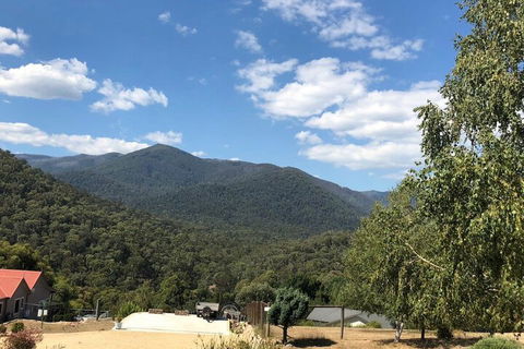 Alpine Stag Lodge Unit 2 - Accommodation Australia 7