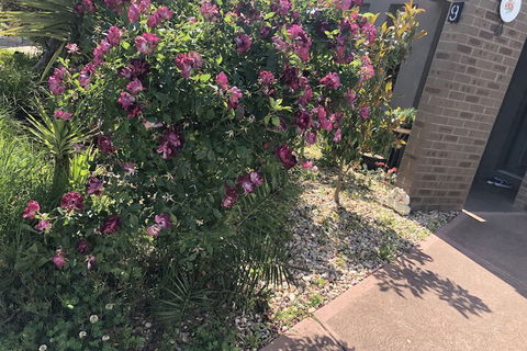 Apple House - Accommodation Australia 1