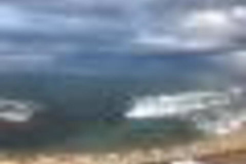 Oceanfront Flourish Apartment - Local Tourism 1