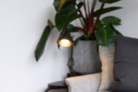 Adderley A Striking 1880s Restored Victorian - Local Tourism 3