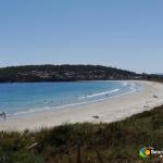 The Beach Escape - Local Tourism 0