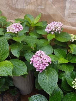 Brae Mar - Accommodation Australia 5