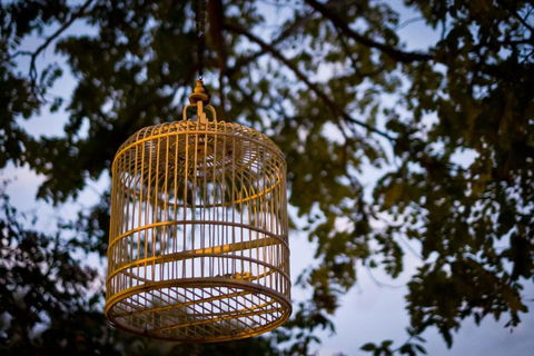 Annies Victorian Terrace Accommodation Fremantle - Accommodation Australia 1