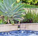 Fingal Escape - Local Tourism