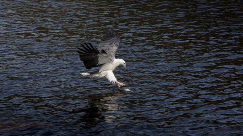 Arthur Riverfront & Sea Lodge Upstream - Australia Shopping 1