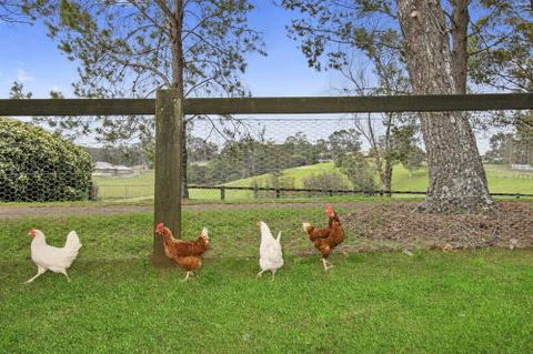 TINY HOME......BIG Views - Accommodation Australia 6