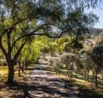 Capers Guesthouse Barn  Cottage - Accommodation Australia