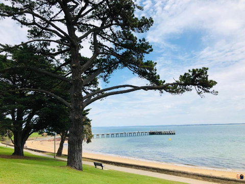 FAMILY ISLAND GETAWAY BEACHFRONT APARTMENT - Australia Shopping 3