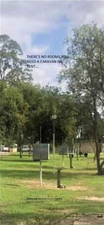 Tall Timbers Caravan Park Kempsey - Accommodation Australia 4