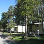 Tall Timbers Caravan Park Kempsey - Accommodation Australia 0