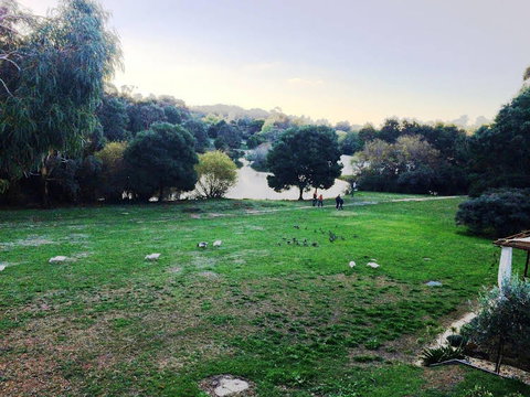 Daylesford By The Lake Cute & Cosy Studio - Accommodation Australia 0