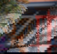 Pagoda Resort  Spa - Local Tourism