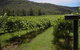 Cedar Creek Cottages - thumb 2