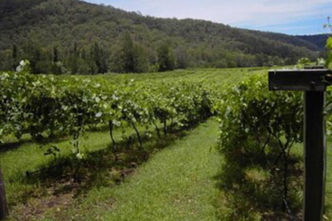 Cedar Creek Cottages - Accommodation Australia 2