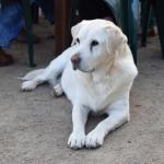 Nazaaray Beach House - Accommodation Australia 0