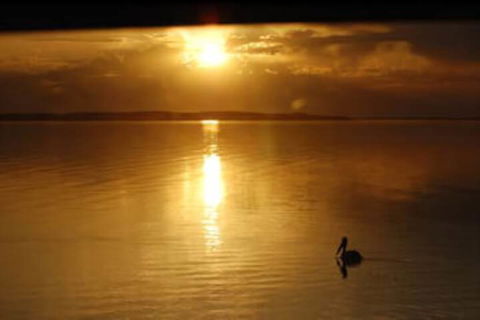 Meningie's Waterfront Motel - Australia Shopping 3