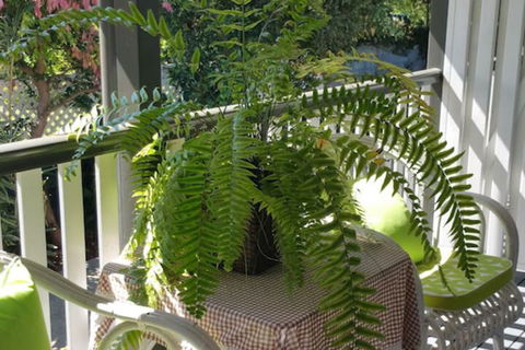 Elindale House Bed & Breakfast - Accommodation Australia 4