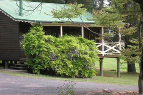 Madison's Mountain Retreat - Australia Shopping 1