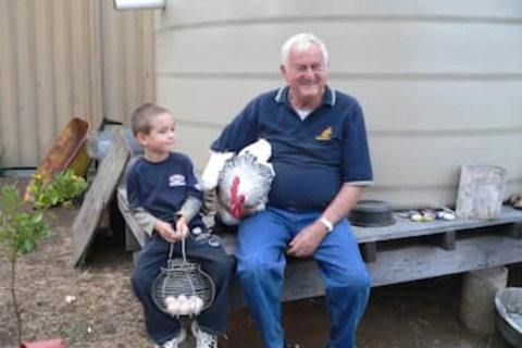 Lee Farm Stay Cottages - Local Tourism 1