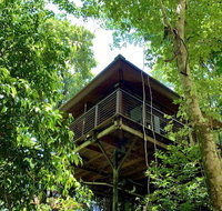 Cairns Rainforest Retreat - Bed n Breakfasts
