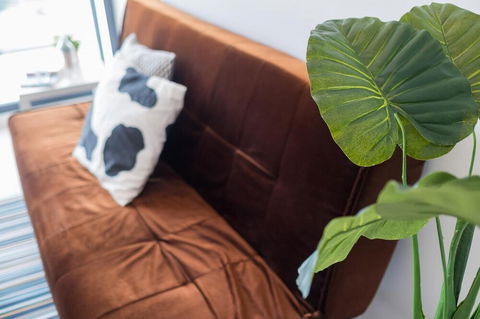 Olympus Wolli Crk 5.12 - Australia Shopping 5