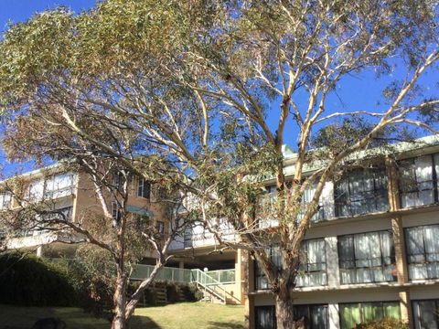 Kirwan Apartments 7 - Accommodation Australia 5