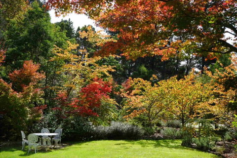 Wimbeldon - Australia Shopping 4