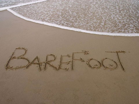 Barefoot 7 / 44 Marine Drive Fabulous Fingal Bay - Accommodation Australia 4