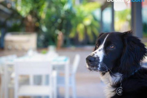 Bay Dream Believer 16 Verona Road Pet Friendly Boat Parking & WIFI - Local Tourism 4