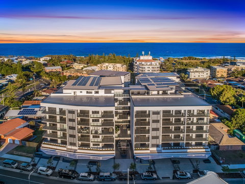 Arise Hedge - Australia Shopping 0