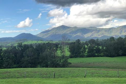 Woodenbong Roseberry House B & B - Local Tourism 4