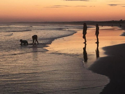 Cromarty Cottage 900m From Birubi Beach - Australia Shopping 6