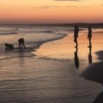 Cromarty Cottage 900m From Birubi Beach - Australia Shopping 0