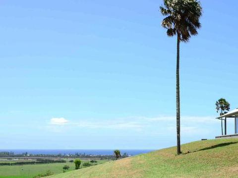 ROSE VALLEY Gerringong 4pm Check Out Sundays - Accommodation Australia 0