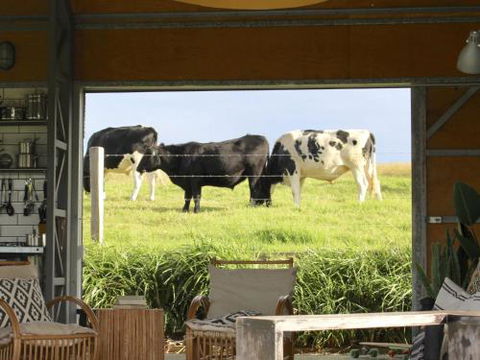 THE SHED Gerroa 4pm Checkout On Sundays & Public Holidays - Accommodation Australia 6