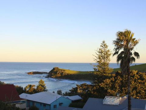 WHALE WATCH FOR FOUR Gerringong 4pm Check Out Sundays - Accommodation Australia 3