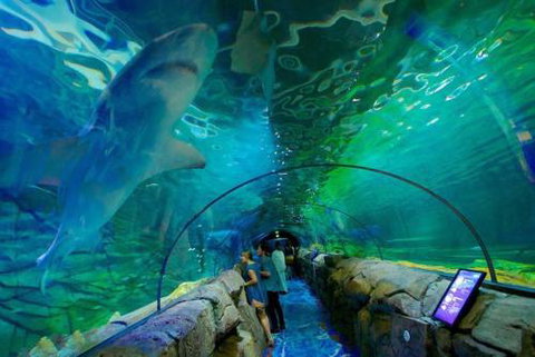 A Modern & Cozy Studio Next To Darling Harbour - Local Tourism 6