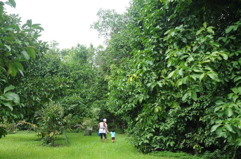 Wildwood - Local Tourism 1