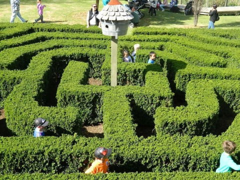 Home Near Shops & Beach - Accommodation Australia 6