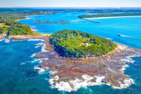 Dolphins Delight At Culburra Beach - Australia Shopping 4