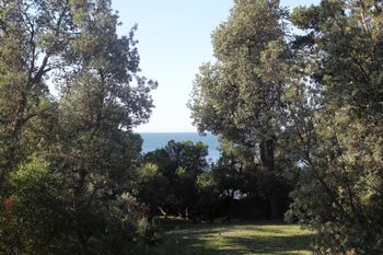 Uringah Rejuvenate Stays - Australia Shopping 6