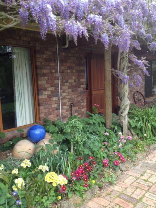 Wisteria Lodge - Accommodation Australia 4