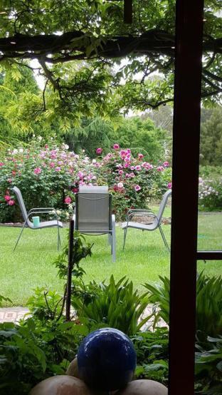 Wisteria Lodge - Accommodation Australia 5