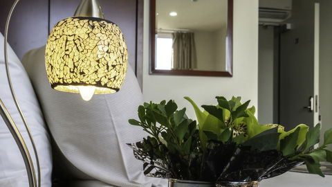 Areca Launceston - Australia Shopping 3