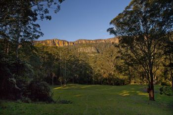 The Cedars Cottages - Australia Shopping 3