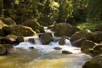 The Cedars Cottages - Australia Shopping 2