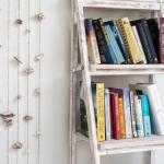 Park Cove - Local Tourism 0