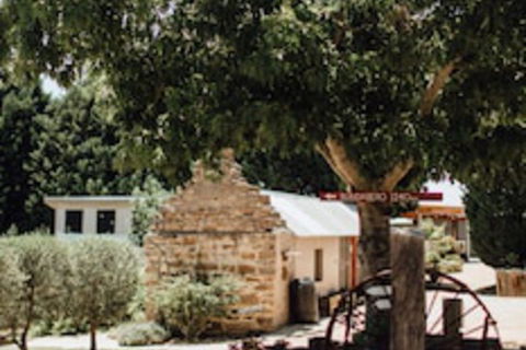 Seclusions Blue Mountains - Bed n Breakfasts 0