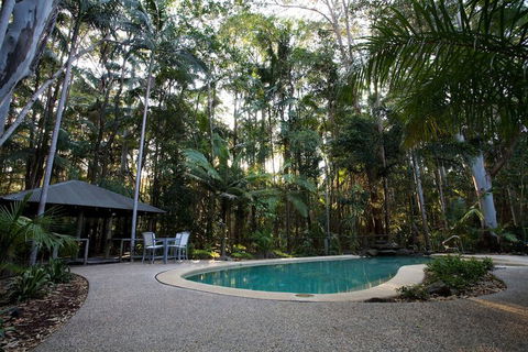 Amore On Buderim Luxury Rainforest Cabins - Local Tourism 2